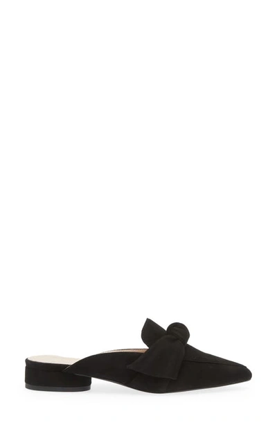 Koko + Palenki Quantum Pointed Toe Mule In Black Suede