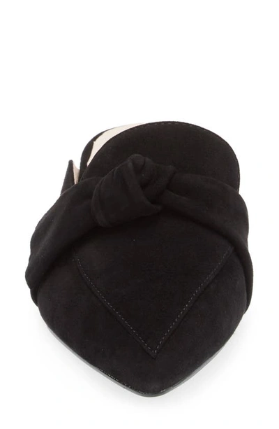 Koko + Palenki Quantum Pointed Toe Mule In Black Suede