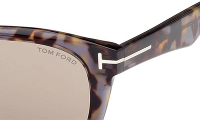 Shop Tom Ford Kendel 54mm Square Sunglasses In Grey Havana / Roviex Mirror