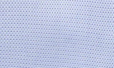 Shop David Donahue Trim Fit Dobby Cotton Dress Shirt In Blue