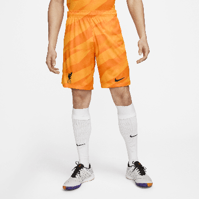 Shop Nike Liverpool Fc 2023/24 Stadium Goalkeeper  Men's Dri-fit Soccer Shorts In Yellow