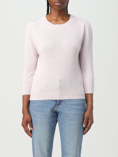 Shop Allude Sweater  Woman Color Pink