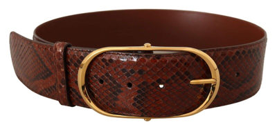 Shop Dolce & Gabbana Brown Exotic Leather Gold Oval Buckle Belt