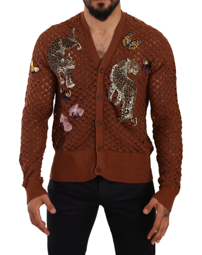 Shop Dolce & Gabbana Brown Leopard Butterfly Cardigan Sweater