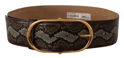 Shop Dolce & Gabbana Brown Python Leather Gold Oval Buckle Belt