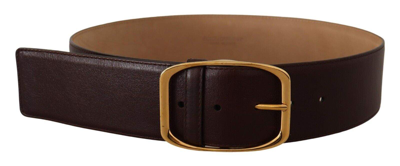 Shop Dolce & Gabbana Dark Brown Leather Gold Metal Buckle Belt