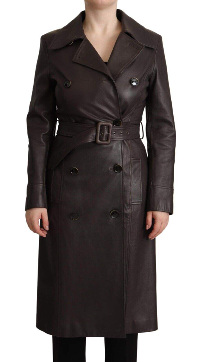 Shop Dolce & Gabbana Dark Brown Leather Long Sleeves Belted Jacket