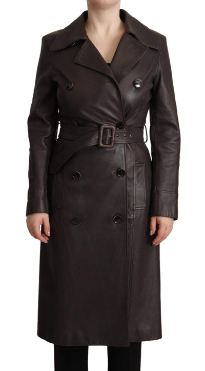 Dolce & Gabbana Dark Brown Leather Long Sleeves Belted Jacket In Brown