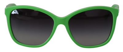 Dolce & Gabbana Green Acetate Frame Round Shades Dg4170pm Sunglasses In Green