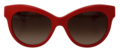 Shop Dolce & Gabbana Red Cat Eye Lens Floral Arm Shades Dg4215 Sunglasses
