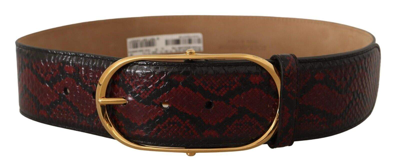Shop Dolce & Gabbana Red Exotic Leather Gold Oval Buckle Belt