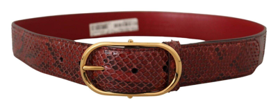 Dolce & Gabbana Red Exotic Leather Gold Oval Buckle Belt In Red