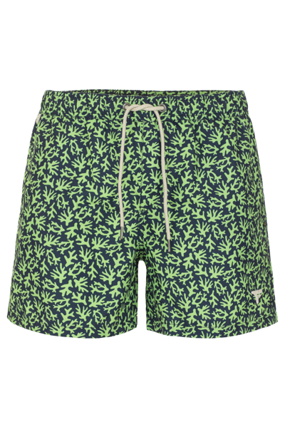 Shop Fred Mello Green Polyester Swimwear
