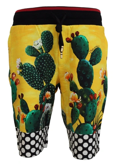 Dolce & Gabbana Multicolor Cactus Print Cotton Sweat Shorts In Multicolor