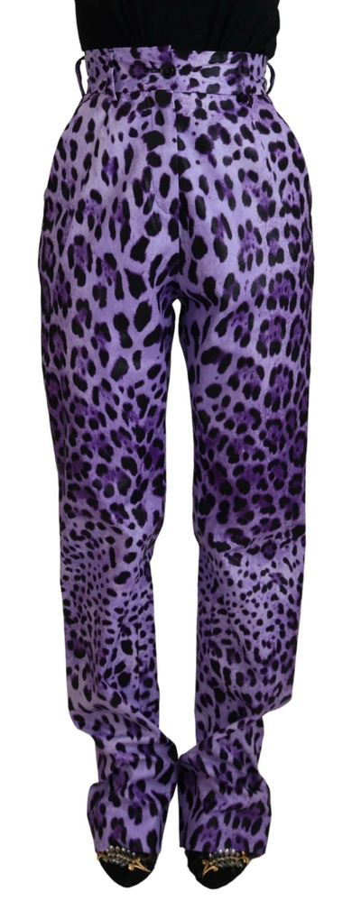 Shop Dolce & Gabbana Purple Leopard Print High Waist Pants