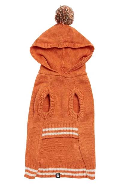 Shop Hotel Doggy Dog Hoodie Sweater In Orange Rust