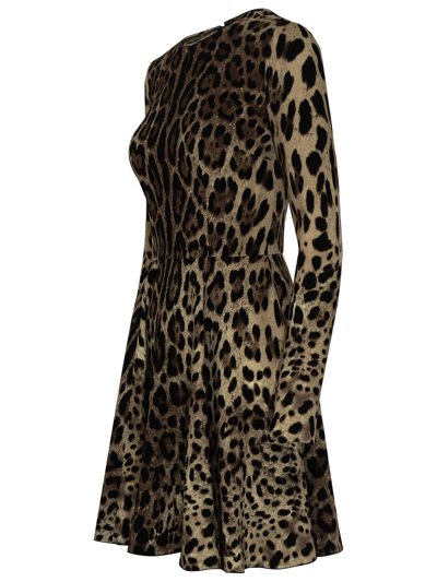 Shop Dolce & Gabbana Black Nylon One-piece Swimsuit In Brown
