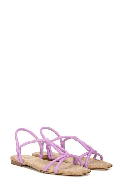 Shop Vince Hazen Flat Sandal In Lila