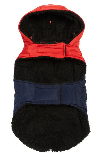 Shop Hotel Doggy Dog Utility Vest In Fiery Red