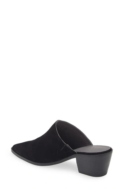 Chocolat Blu Cellia Pointed Toe Mule In Black Suede