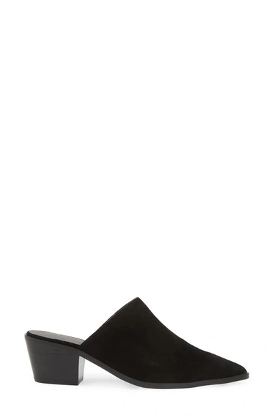 Chocolat Blu Cellia Pointed Toe Mule In Black Suede