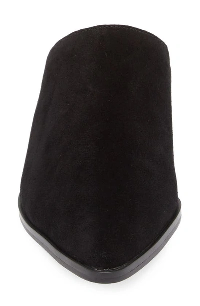 Chocolat Blu Cellia Pointed Toe Mule In Black Suede