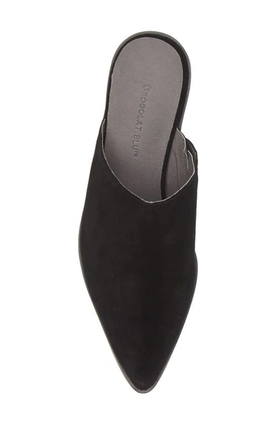 Shop Chocolat Blu Cellia Pointed Toe Mule In Black Suede