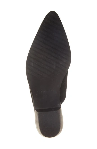 Chocolat Blu Cellia Pointed Toe Mule In Black Suede