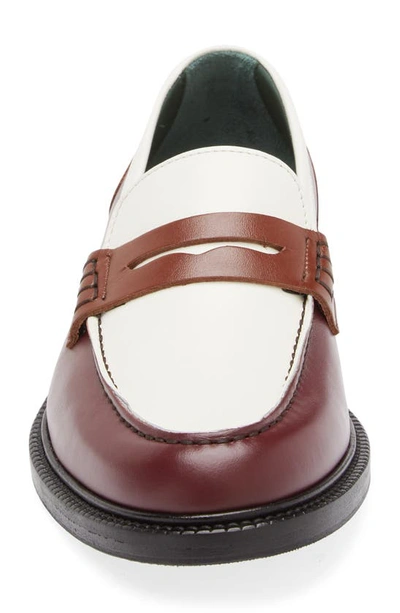 Shop Vinny's Townee Penny Loafer In Burgundy/ Brown/ Off White