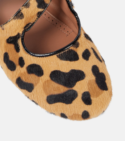 Alaïa Alaia Women Ballet Flats In Animal Print