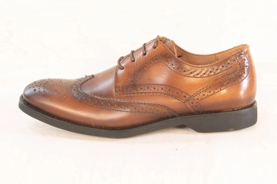 Shop Anatomic Men Classico Shoe In Bronze In Brown