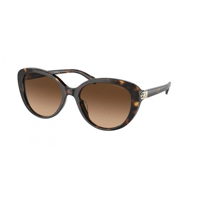 Shop Coach Women's 56mm Sunglasses In Brown