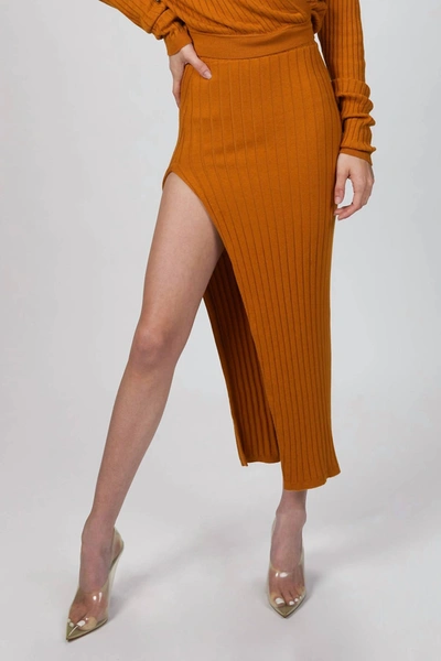Shop Ronny Kobo Irenna Knit Skirt In Golden In Brown