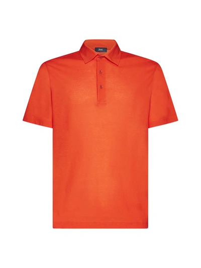 Shop Herno T-shirts And Polos In Orange