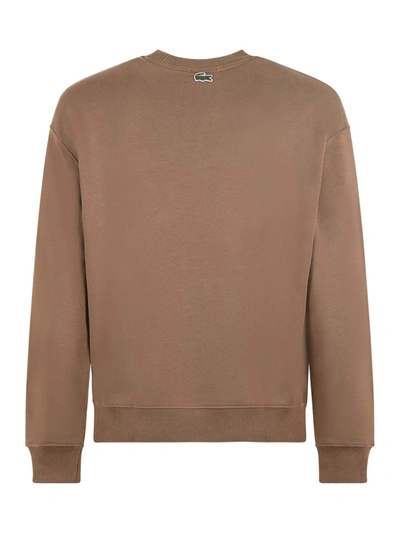 Shop Lacoste Cotton Sweatshirt In Camel