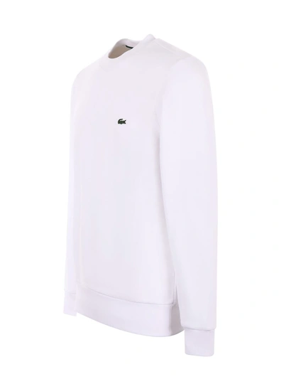 Shop Lacoste Sweatshirt In White