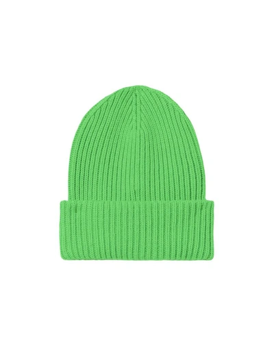 Shop Mc2 Saint Barth Hats In Green
