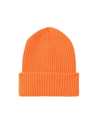Shop Mc2 Saint Barth Hats In Orange