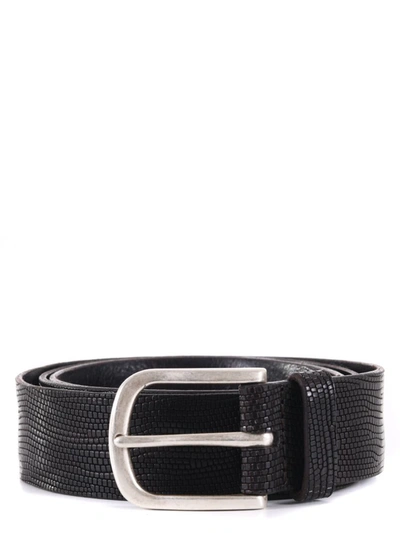 Shop Orciani Belt In Marrone Scuro