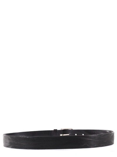 Shop Orciani Belt In Marrone Scuro