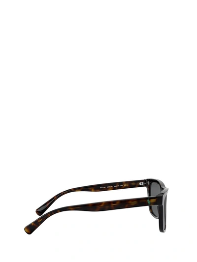 Shop Polo Ralph Lauren Sunglasses In Shiny Dark Havana