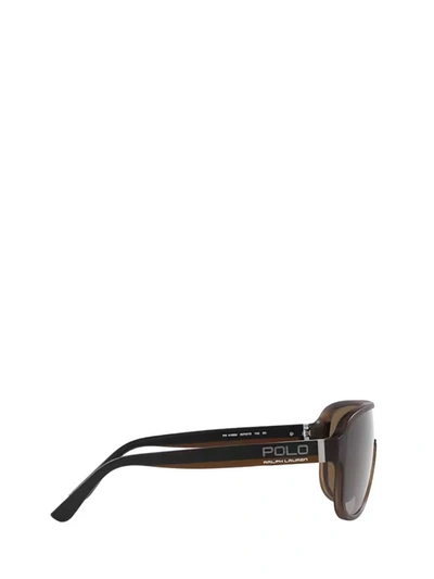 Shop Polo Ralph Lauren Sunglasses In Matte Havana Brown