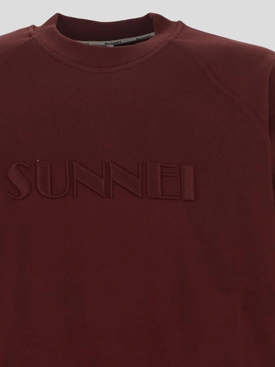 Shop Sunnei Sweaters In Boredeaux