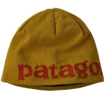 Shop Patagonia Cappello Beanie Hat Logo Belwe/cosmic Gold