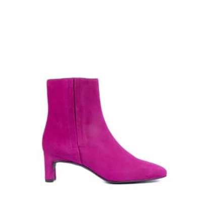 Shop Unisa Lister Boots Pink