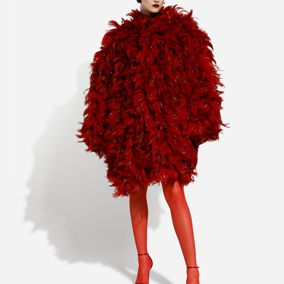 Shop Dolce & Gabbana Organza Coat With Rooster Feather Embellishment In Multicolor