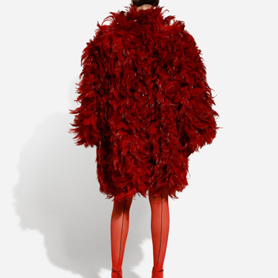 Shop Dolce & Gabbana Organza Coat With Rooster Feather Embellishment In Multicolor