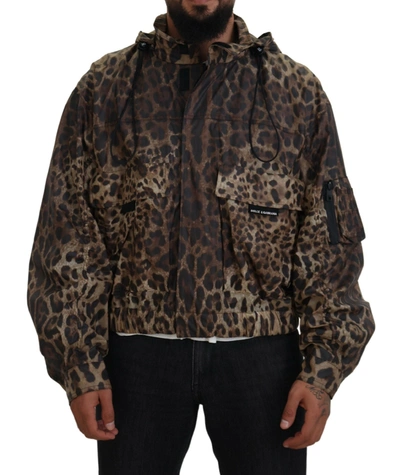 Shop Dolce & Gabbana Brown Leopard Print Men Hooded Jacket