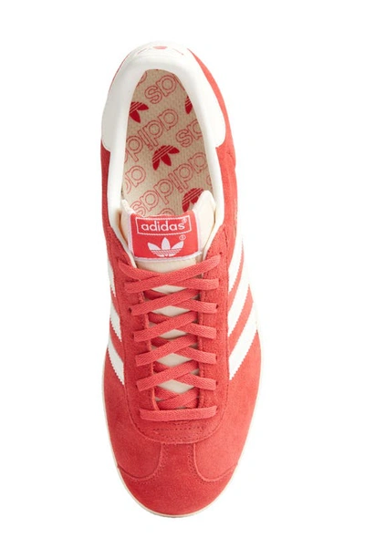 Shop Adidas Originals Gazelle Sneaker In Glory/ Off White/ Cream
