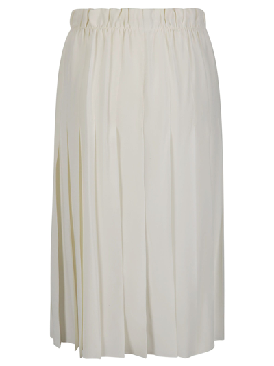 Shop Victoria Beckham Pleated Panel Detail Skirt In 638